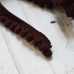 Помпошки 10 мм, цвет коричневый, 1 м