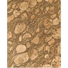 Кожзам на тканевой основе юрский период - коричневый 33х70 см
